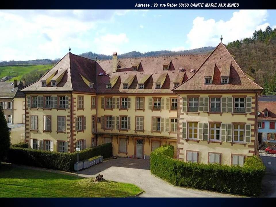 Aux Souvenirs D'Anaelle Gites 5 Personnes Sainte-Marie-aux-Mines Luaran gambar