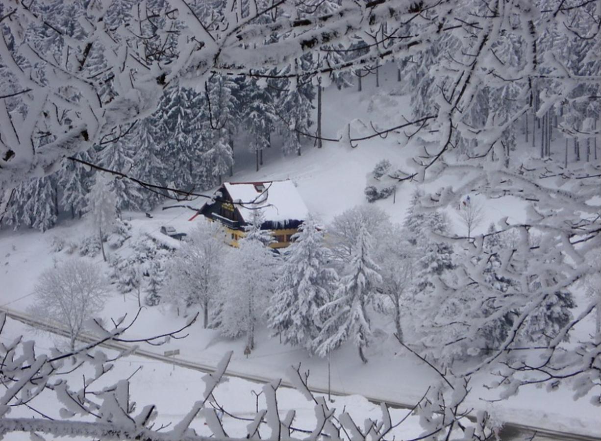 Aux Souvenirs D'Anaelle Gites 5 Personnes Sainte-Marie-aux-Mines Luaran gambar