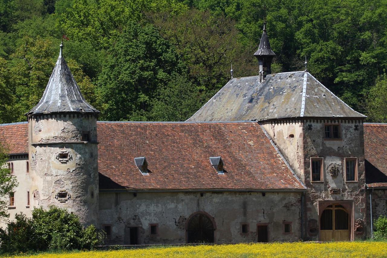 Aux Souvenirs D'Anaelle Gites 5 Personnes Sainte-Marie-aux-Mines Luaran gambar