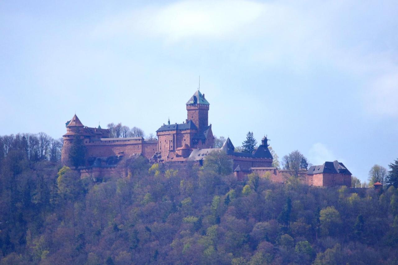 Aux Souvenirs D'Anaelle Gites 5 Personnes Sainte-Marie-aux-Mines Luaran gambar